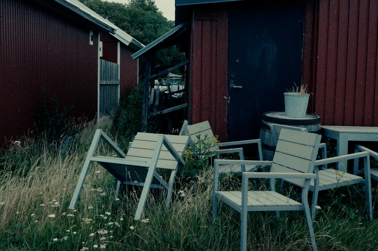 Weathered wooden chairs in tall grass in front of red wooden sheds