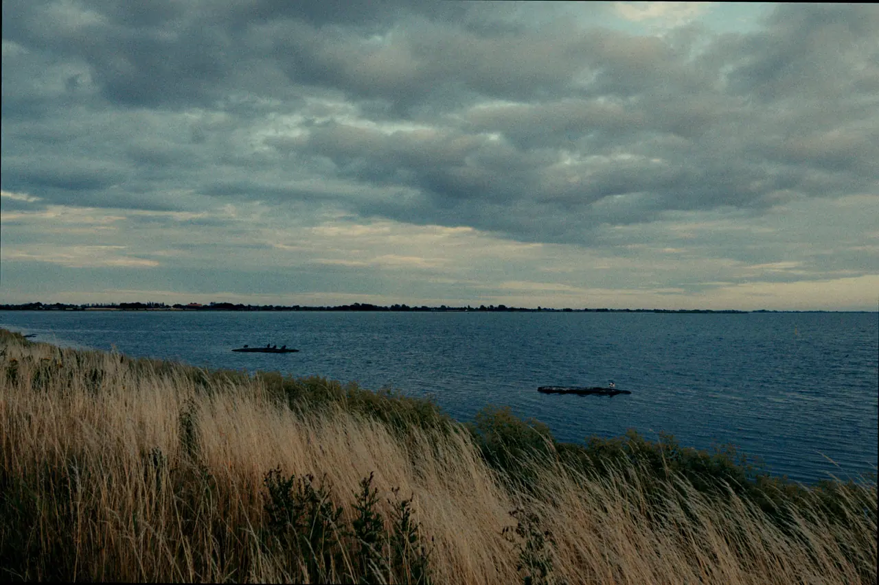 Tall golden grass above a wide blue bay under a cloudy sky, two small boats on the water