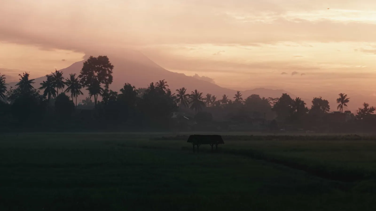 Java & Bali – Paradies im Bann der Elemente – 2 / 11