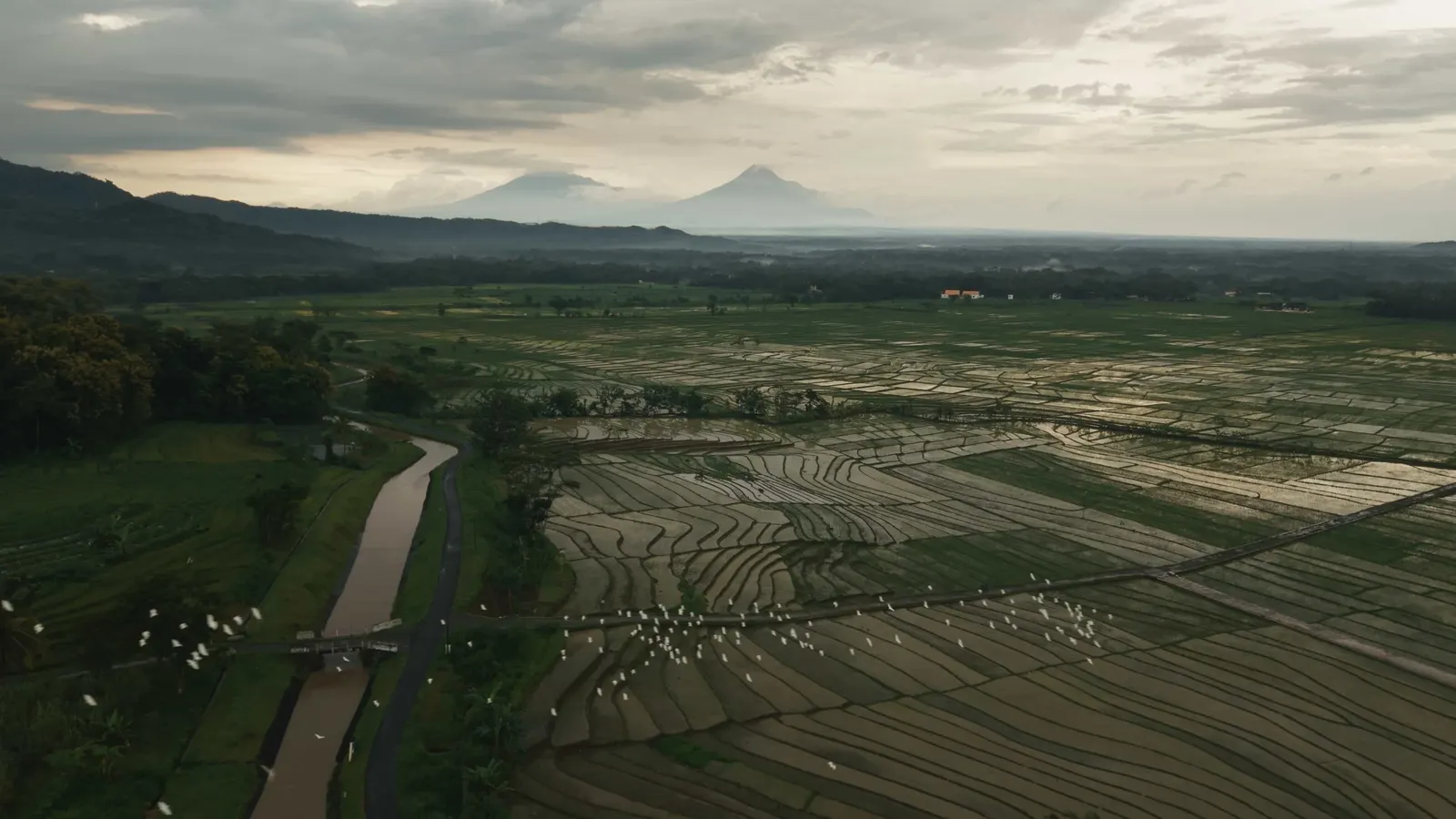Java & Bali – Paradies im Bann der Elemente – 9 / 11